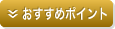 �������߃|�C���g