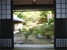 庭園には池もあります。