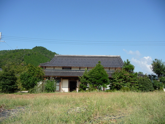 正面